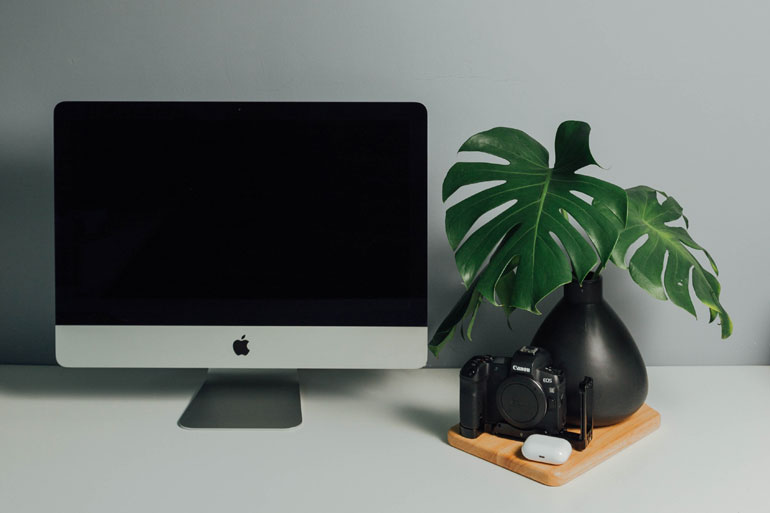 Wild Life Photography With John Shaw Wild Life Photography With John Shaw